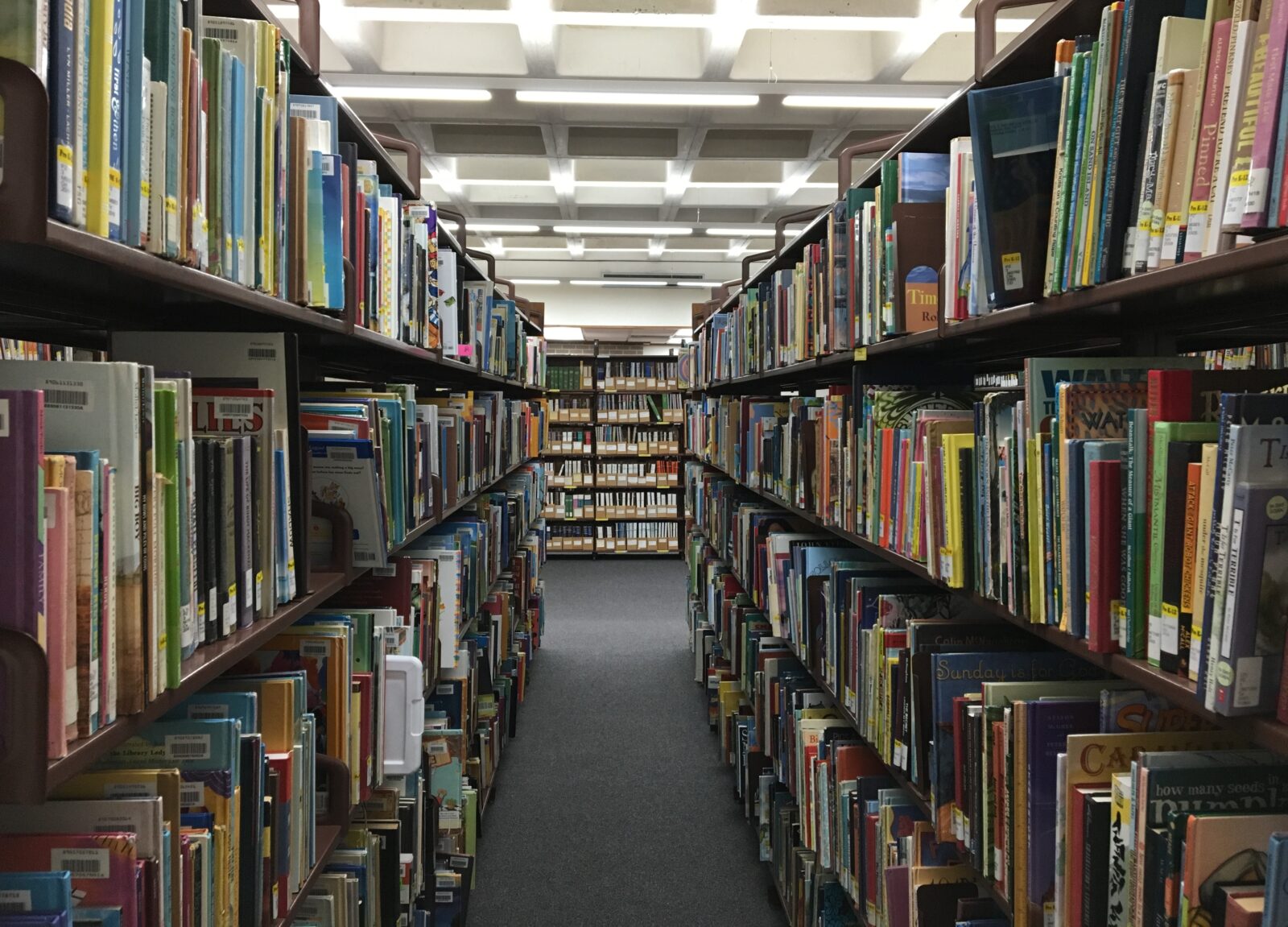 Shelves in a library filled with multi-colored books